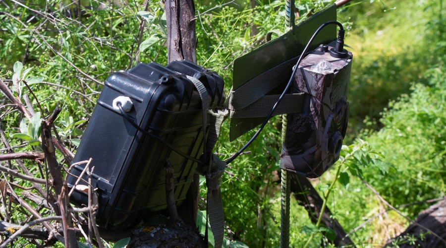 daily-fyi-do-trail-cameras-have-gps-maximum-hunt