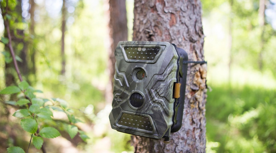 trail cameras that work with verizon